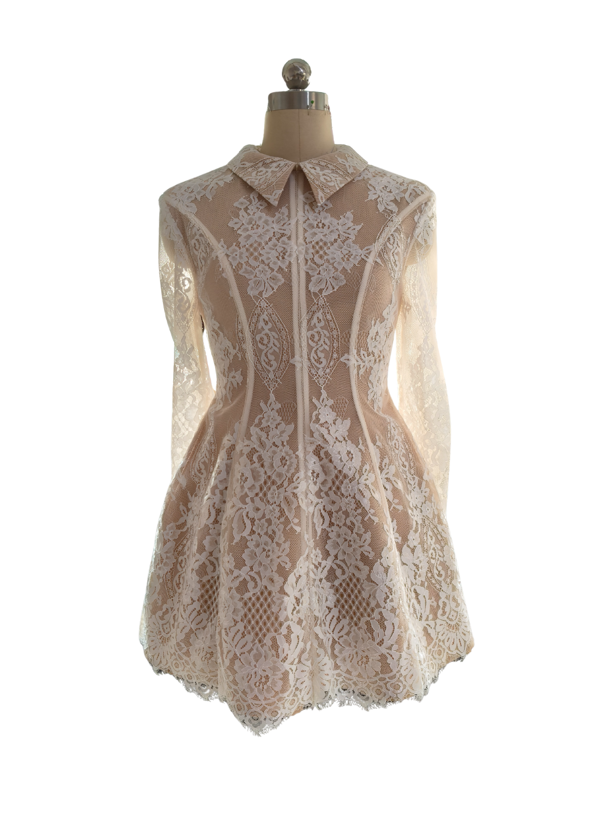 knee length dresses for ladies Dyriel Folded Collar Lace Mini Dress – Mew Mews