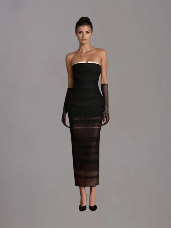 Dronea Strapless Mesh Maxi Dress