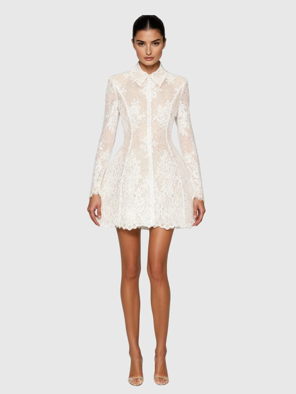 Dyriel Folded Collar Sequin Lace Mini Dress