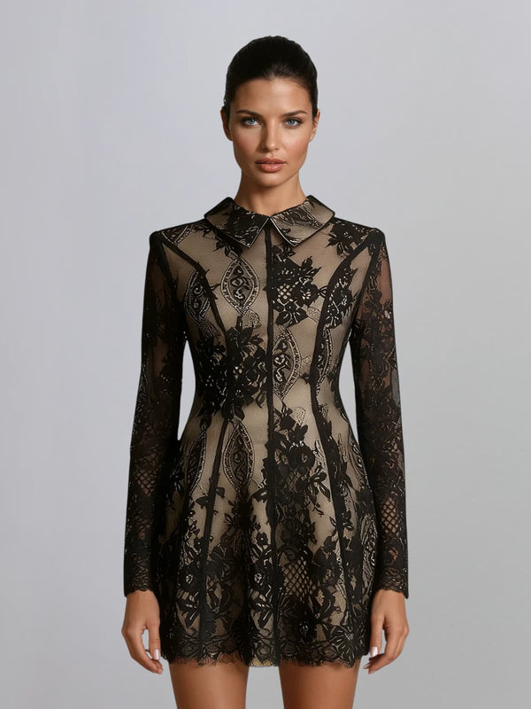 Dyriel Long Sleeve Lace Mini Dress
