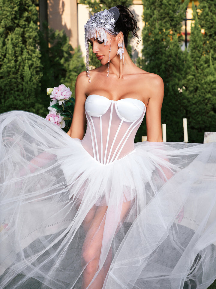 Eddard Strapless Corset Mesh Maxi Dress – Mew Mews