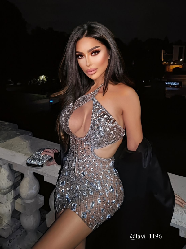 Hanne Backless Rhinestone Mesh Mini Dress In Silver