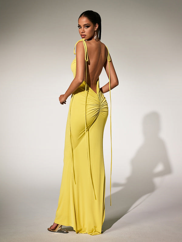 Paratyl Backless Maxi Dress