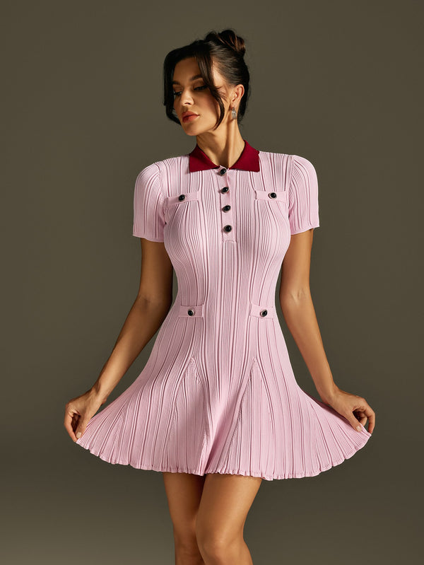 Rorah Collar Flare Mini Dress