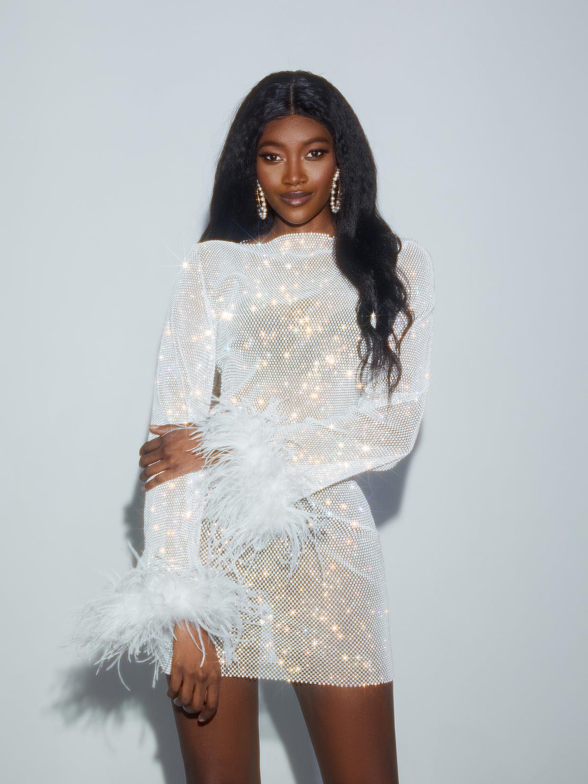Xanthe Rhinestone Mesh Mini Dress In White – Mew Mews