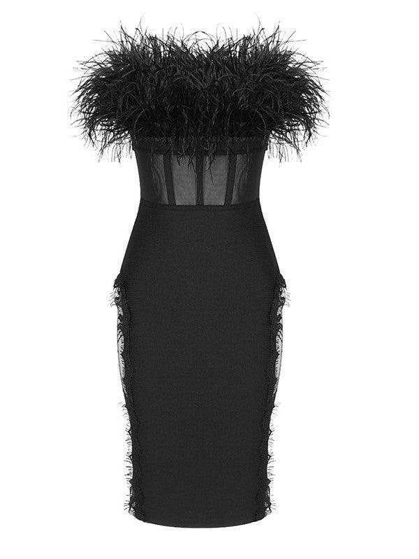 Abby Feather Trimmed Lace Bodycon Dress - Mew Mews Fashion
